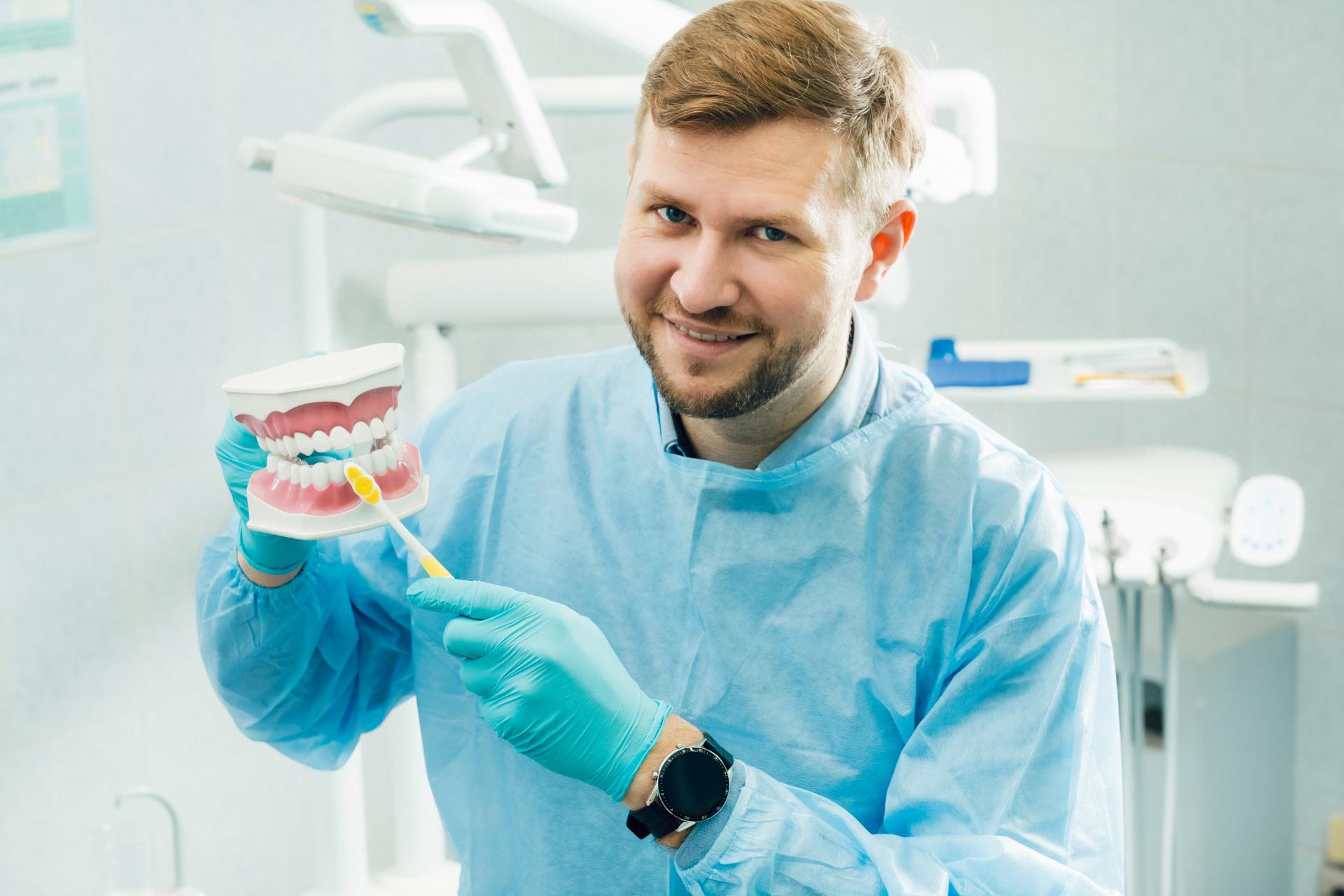 a model of a human jaw with teeth and a toothbrush